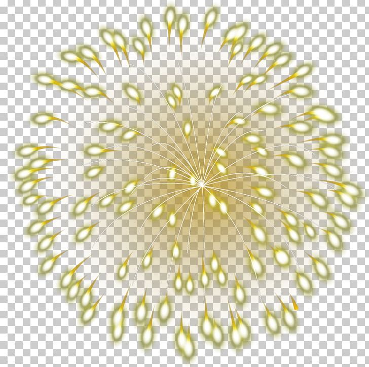 Software RGB Color Model PNG, Clipart, Adobe Systems, Bloom, Blooming Vector, Cartoon Fireworks, Circle Free PNG Download
