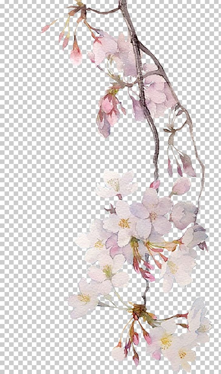Watercolor Painting Illustrator Illustration PNG, Clipart, Blog, Blossom, Branch, Cherry Blossom, Chinese Art Free PNG Download