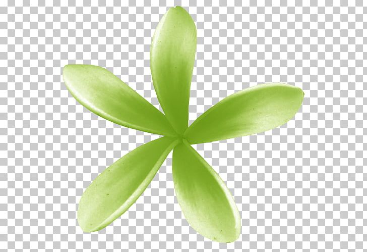 Petal Animation Adobe Flash PNG, Clipart, Adobe Flash, Animation, Cartoon, Channel, Computer Icons Free PNG Download