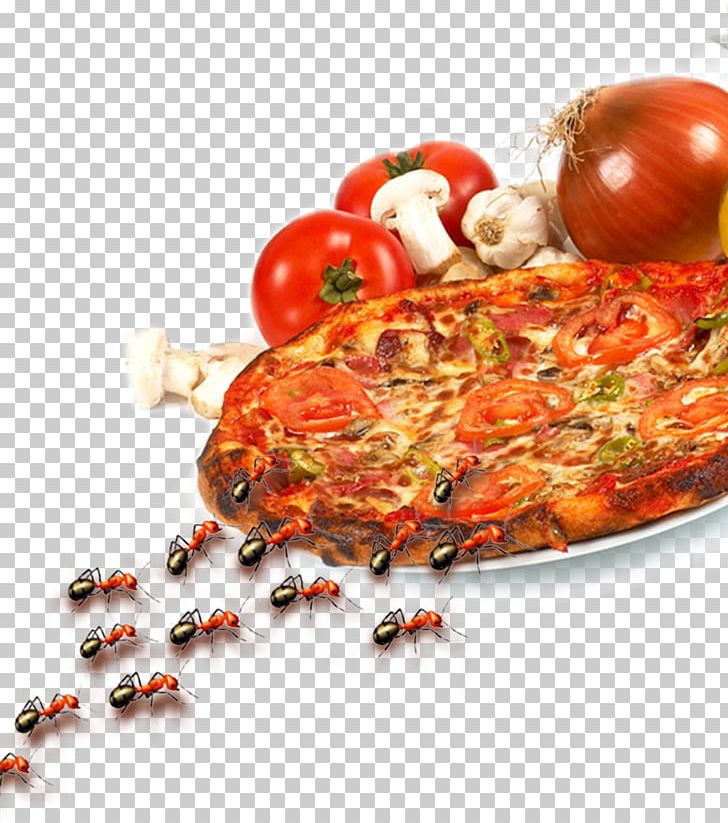 Pizza European Cuisine Italian Cuisine Food PNG, Clipart, Advertising, Animal Source Foods, Ant, Ants, Bread Free PNG Download