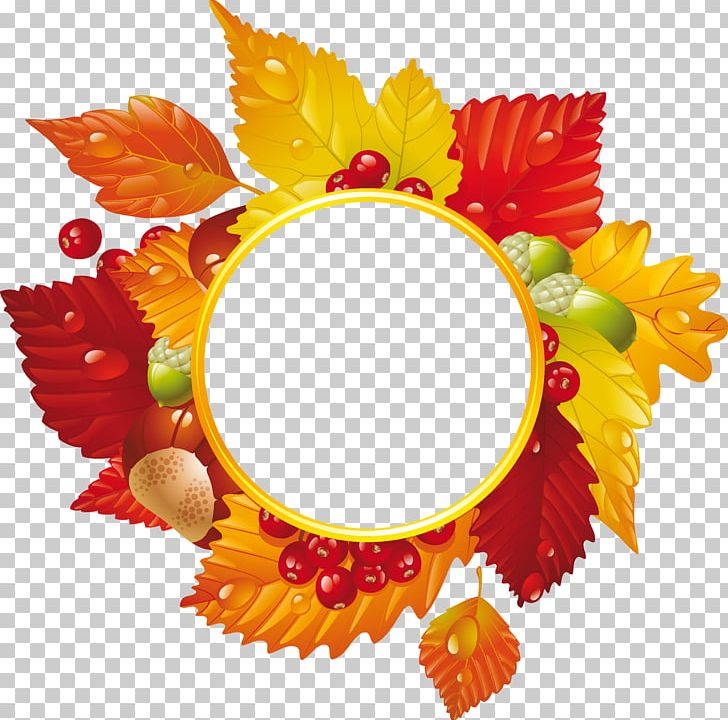 Autumn Graphic Design PNG, Clipart, Acorn, Autumn, Autumn Leaf Color, Cut Flowers, Encapsulated Postscript Free PNG Download