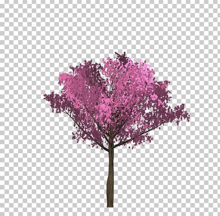 Pink Twig Cherry Blossom Tree PNG, Clipart, Agac, Blossom, Branch, Cherry, Cherry Blossom Free PNG Download