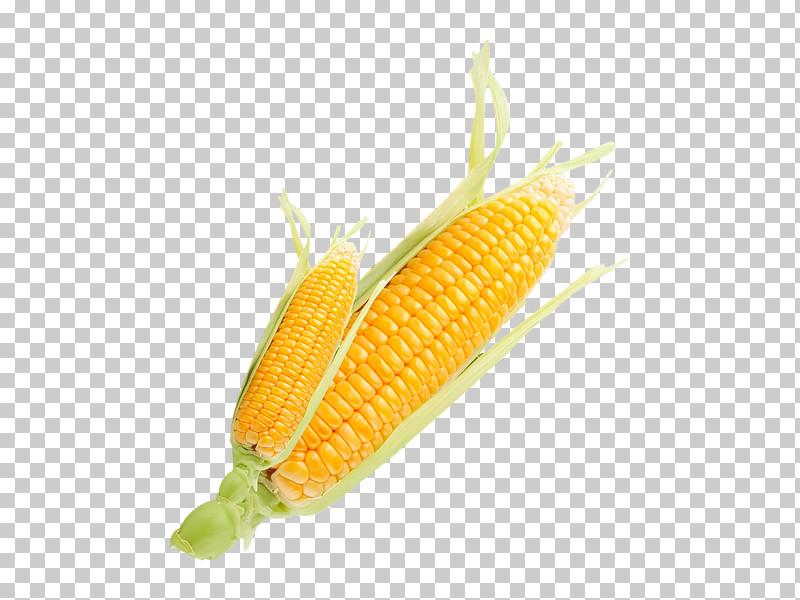 Corn On The Cob Sweet Corn Corn Corn Kernels Corn On The Cob PNG, Clipart, Corn, Corn Kernels, Corn On The Cob, Cuisine, Food Free PNG Download