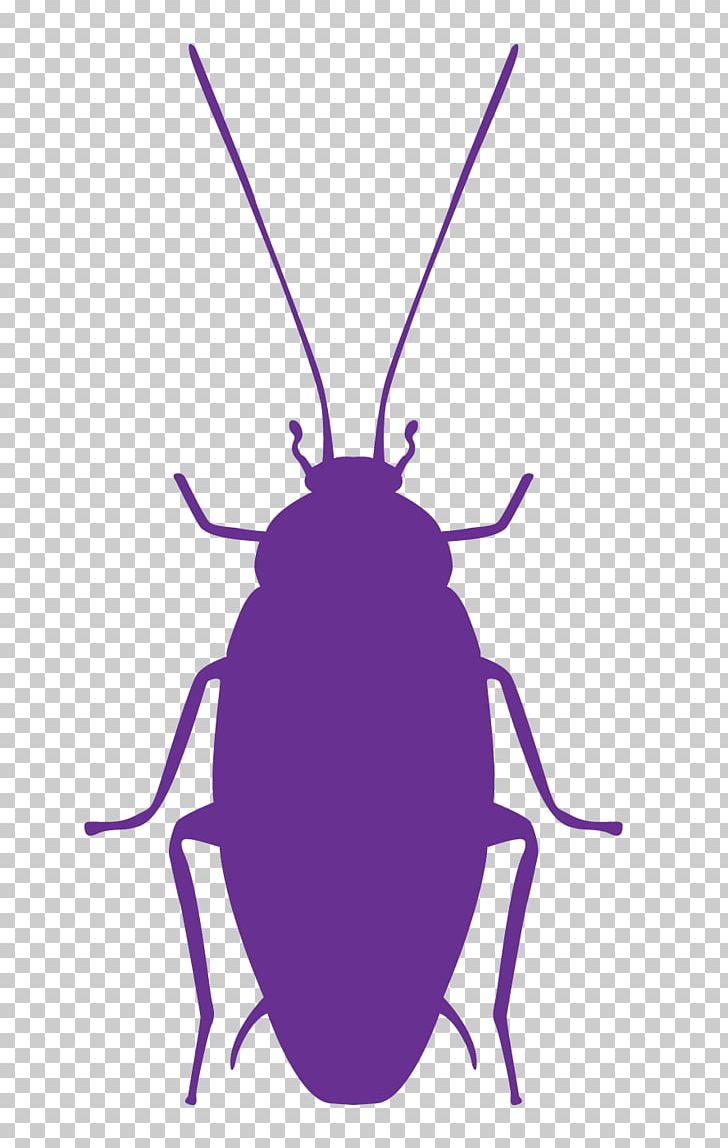 Cockroach Insect Pest Control PNG, Clipart, Animal, Animals, Arthropod, Cockroach, Cool Earth Free PNG Download