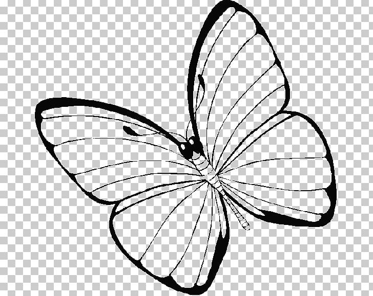 Monarch Butterfly Coloring Book Drawing PNG, Clipart, Adult, Animal, Area, Arthropod, Artwork Free PNG Download