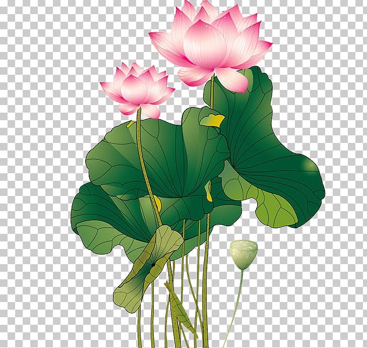 Nelumbo Nucifera Adobe Illustrator PNG, Clipart, Annual Plant, Aquatic Plant, Artificial Flower, Flower, Flower Arranging Free PNG Download