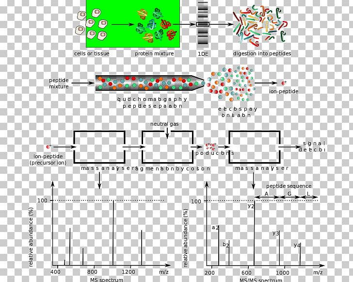 Spectrometric Identification Of Organic Compounds Protein Mass Spectrometry Spectroscopy PNG, Clipart, Angle, Area, Biology, Diagram, Document Free PNG Download