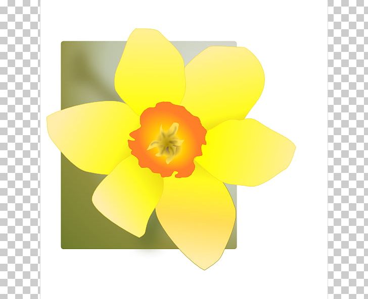 Cartoon Daffodil PNG, Clipart, Animation, Cartoon, Coloring Book, Daffodil, Daffodil Cartoon Free PNG Download