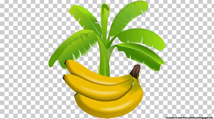 Banana Leaf Food PNG, Clipart, Banana, Banana Family, Banana Leaf, Computer Icons, Computer Wallpaper Free PNG Download