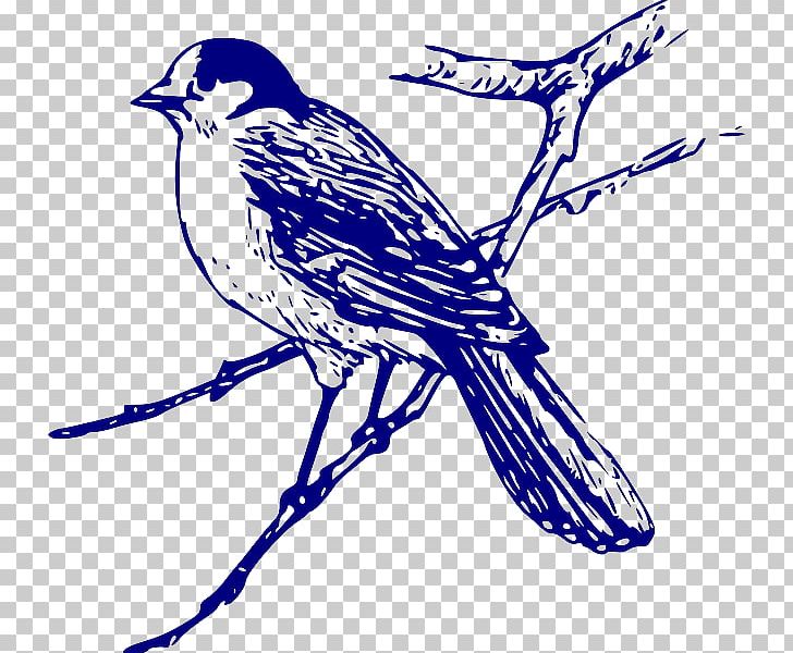 Bird PNG, Clipart, Animals, Art, Artwork, Beak, Bird Free PNG Download
