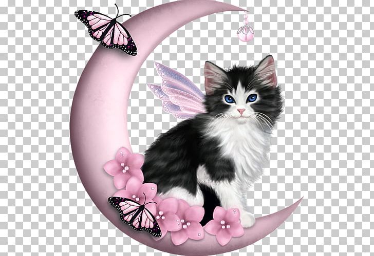 Cat Felidae Kitten Earth Pearl PNG, Clipart, Animal, Animals, Art, Artist, Carnivoran Free PNG Download
