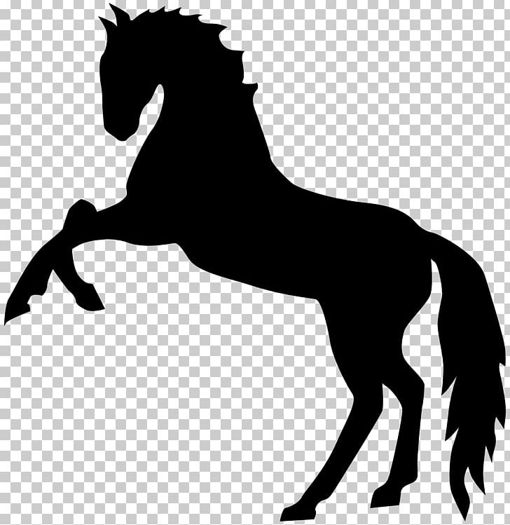 Mustang Stallion Rearing PNG, Clipart, Bridle, Bronco, Colt, Drawing, English Riding Free PNG Download