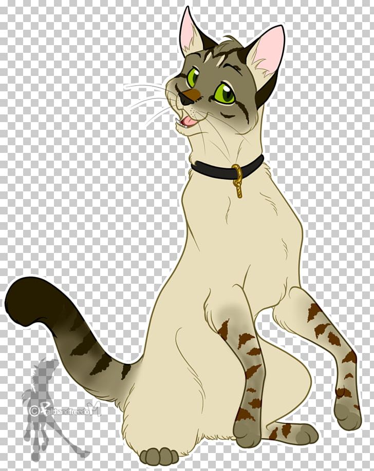 Whiskers Domestic Short-haired Cat Tabby Cat Wildcat PNG, Clipart, Animals, Art, Back, Carnivoran, Cat Free PNG Download