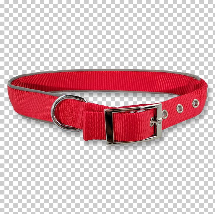 American Pit Bull Terrier Dog Collar Service Dog PNG, Clipart, American Pit Bull Terrier, Animal, Belt, Belt Buckle, Belt Buckles Free PNG Download