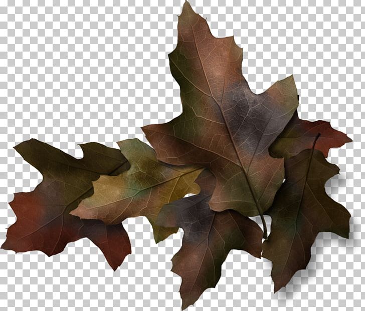 Leaf Twig Painting Branch PNG, Clipart, Art, Autumn, Branch, Clothing, Dressing Free PNG Download