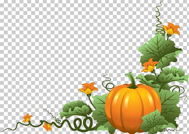 New Hampshire Pumpkin Festival Autumn PNG, Clipart, Calabaza, Cucumber Gourd And Melon Family, Cucurbita, Cucurbita Pepo, Drawing Free PNG Download