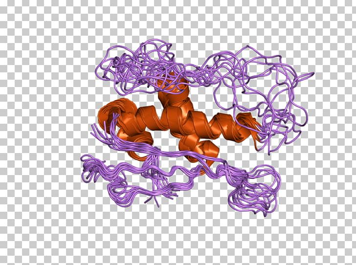 Protein SNX1 Sortilin 1 Gene Retromer PNG, Clipart, Cell, Chromosome 15 Human, Endosome, Epidermal Growth Factor Receptor, Gene Free PNG Download