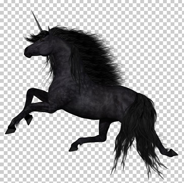 Unicorn Stallion American Paint Horse Mane PNG, Clipart, American Paint Horse, Animal, Atlar, At Resimleri, Black And White Free PNG Download