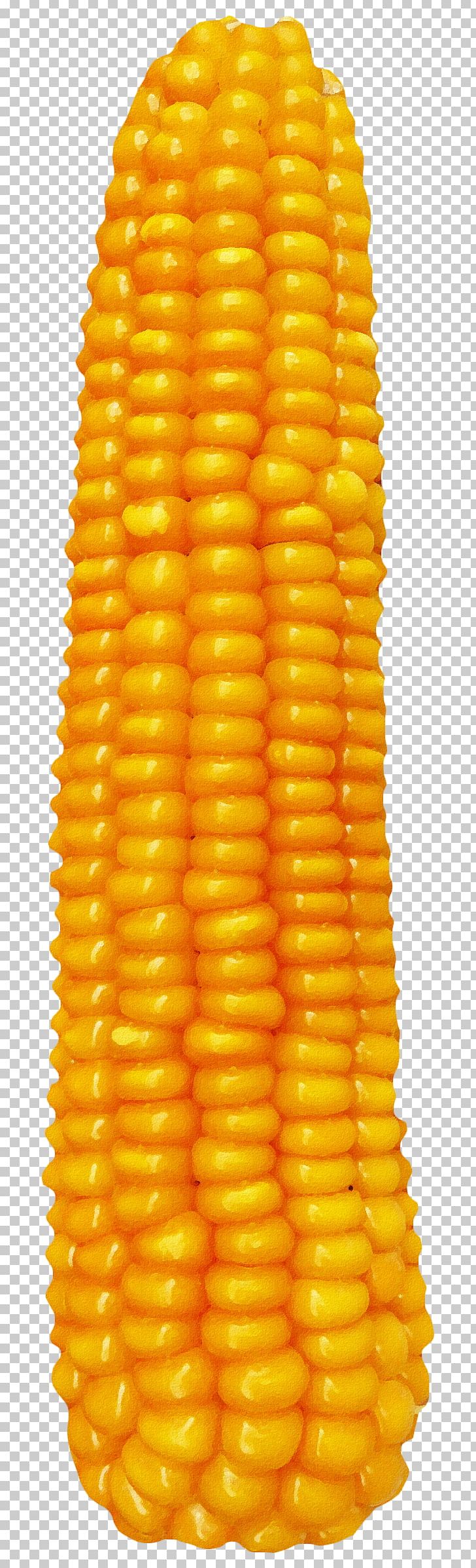 Corn On The Cob Flint Corn Food Variety PNG, Clipart, Caryopsis, Cereal, Commodity, Corn, Corn Kernel Free PNG Download