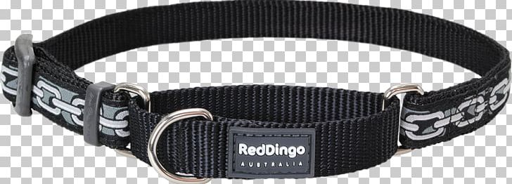 Dog Collar Dingo Dog Collar Leash PNG, Clipart, Belt, Breed, Cat, Chain, Collar Free PNG Download