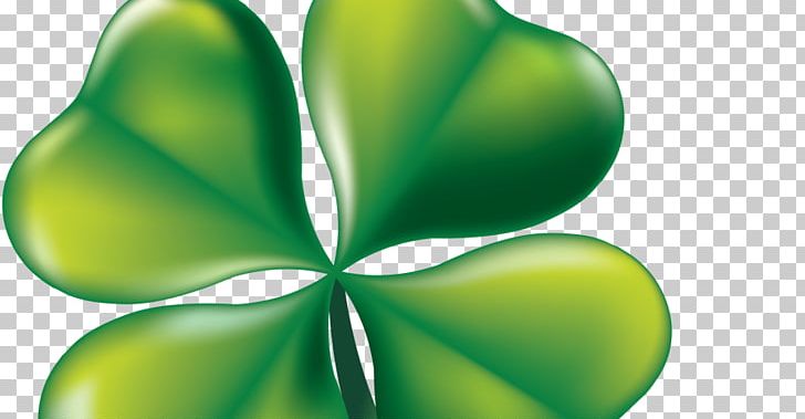 Four-leaf Clover Republic Of Ireland Irish People PNG, Clipart,  Free PNG Download