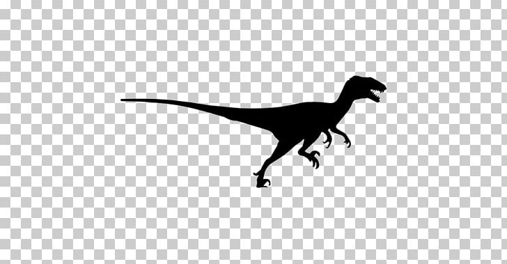 Velociraptor Tyrannosaurus Dinosaur Jewellery Black PNG, Clipart, Black, Black And White, Charms Pendants, Deinonychus, Dinosaur Free PNG Download