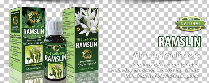 Ramsons Garlic Alliin Bacteria Liver PNG, Clipart, Alliin, Amino Acid, Antibiotics, Bacteria, Brand Free PNG Download