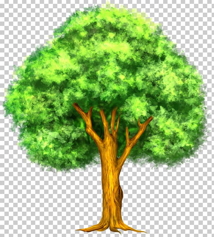 Tree Thumbnail PNG, Clipart, Arecaceae, Cartoon, Download, Flowerpot, Free Content Free PNG Download
