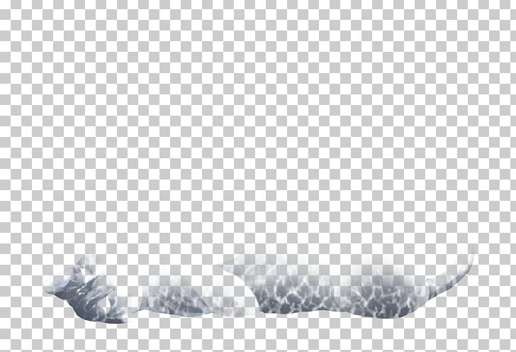 White Fur Freezing Animal Sky Plc PNG, Clipart, Animal, Black And White, Freezing, Fur, Miscellaneous Free PNG Download