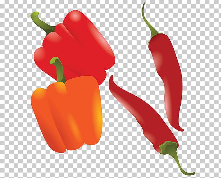 Chili Pepper Drawing Bell Pepper PNG, Clipart, Bell Pepper, Birds Eye Chili, Cayenne Pepper, Chili Pepper, Food Free PNG Download