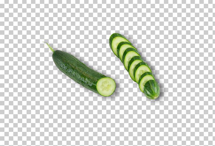 Cucumber Vegetable Melon PNG, Clipart, Cartoon, Celery, Cucumber Element, Cucumber Gourd And Melon Family, Cucumber Juice Free PNG Download