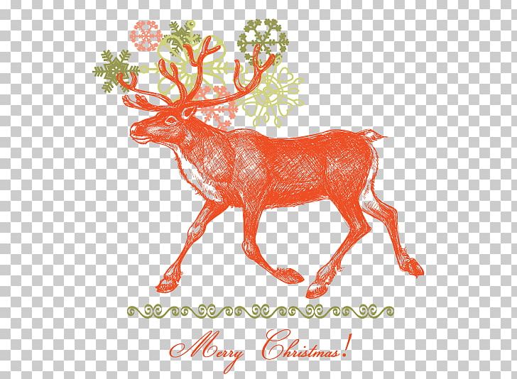 IPhone 6 Plus IPhone X Reindeer Santa Claus PNG, Clipart, Animals, Antler, Branch, Christma, Christmas Decoration Free PNG Download