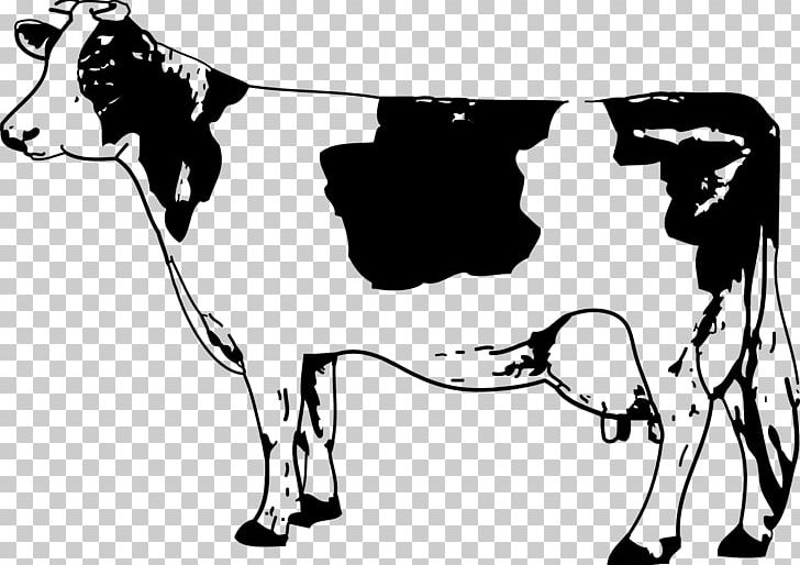Texas Longhorn Jersey Cattle Drawing PNG, Clipart, Black, Black And White, Bull, Carnivoran, Cartoon Free PNG Download