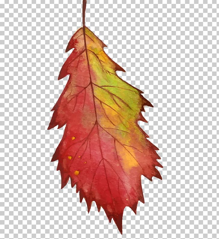 Watercolor Painting PNG, Clipart, Art, Autumn, Autumn Leaves, Computer Icons, Floral Design Free PNG Download