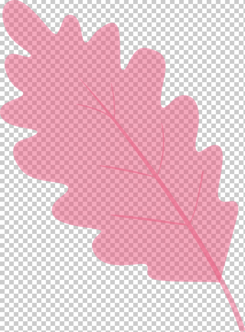 Maple Leaf PNG, Clipart, Flower, Leaf, Maple Leaf, Petal, Pink Free PNG Download