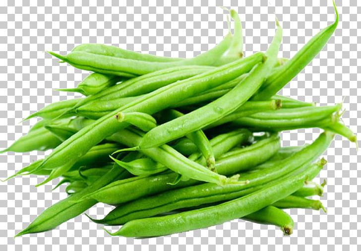 Green Bean Vegetarian Cuisine Vegetable Food PNG, Clipart, Bean, Beans, Commodity, Common Bean, Cooking Free PNG Download
