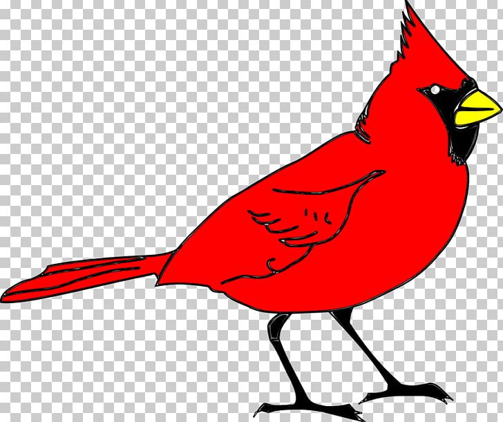 Northern Cardinal St. Louis Cardinals PNG, Clipart, Art, Artwork, Baseball  Logo, Beak, Bird Free PNG Download