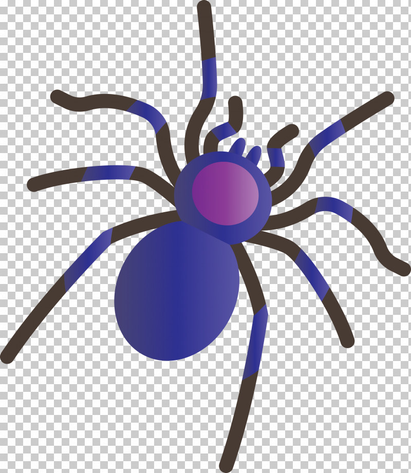 Insect Arachnid Purple Line PNG, Clipart, Arachnid, Cartoon Spider, Insect, Line, Purple Free PNG Download