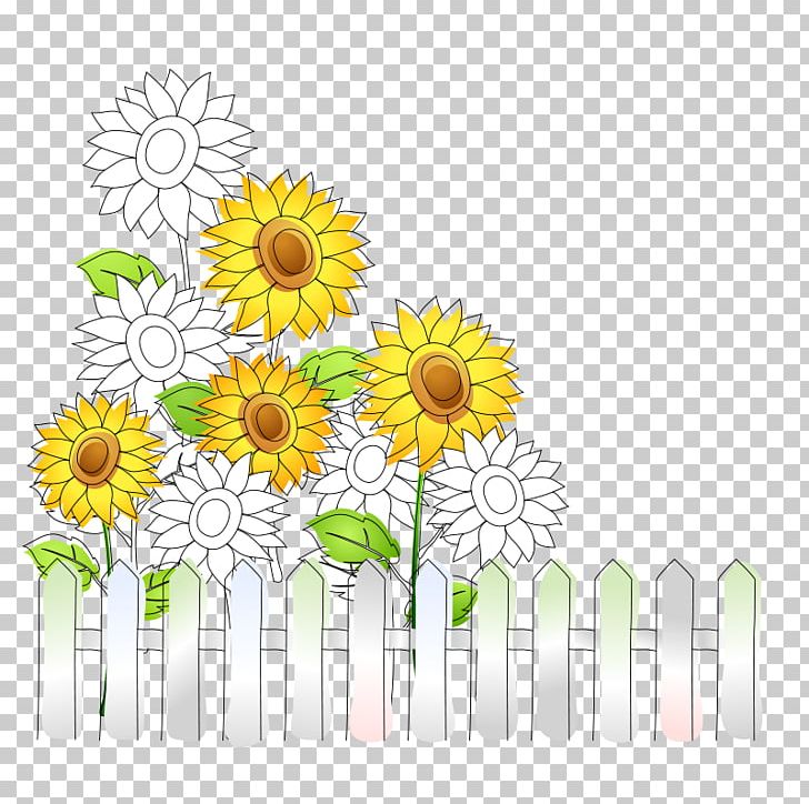 Common Sunflower PNG, Clipart, Adobe Illustrator, Christmas Decoration, Dahlia, Daisy Family, Decor Free PNG Download
