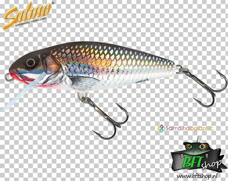 Plug Fishing Baits & Lures Northern Pike Angling PNG, Clipart, Angling, Bait, Bass Worms, European Perch, Fish Free PNG Download