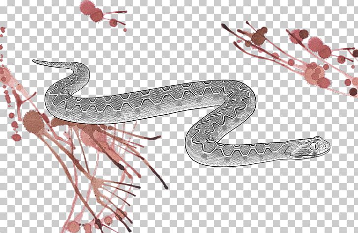 Snake Vipers Echis Carinatus Tirofiban Venom PNG, Clipart, Acute Coronary Syndrome, Animal, Animals, Antivenom, Dose Free PNG Download