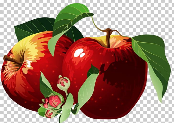 Apple Red PNG, Clipart, Apple Blossom, Apple Fruit, Apples, Blossom, Color Free PNG Download