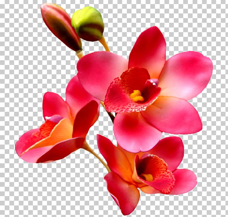GIF Desktop Animation Morning PNG, Clipart, Animation, Cartoon, Cut Flowers, Desktop Wallpaper, Download Free PNG Download