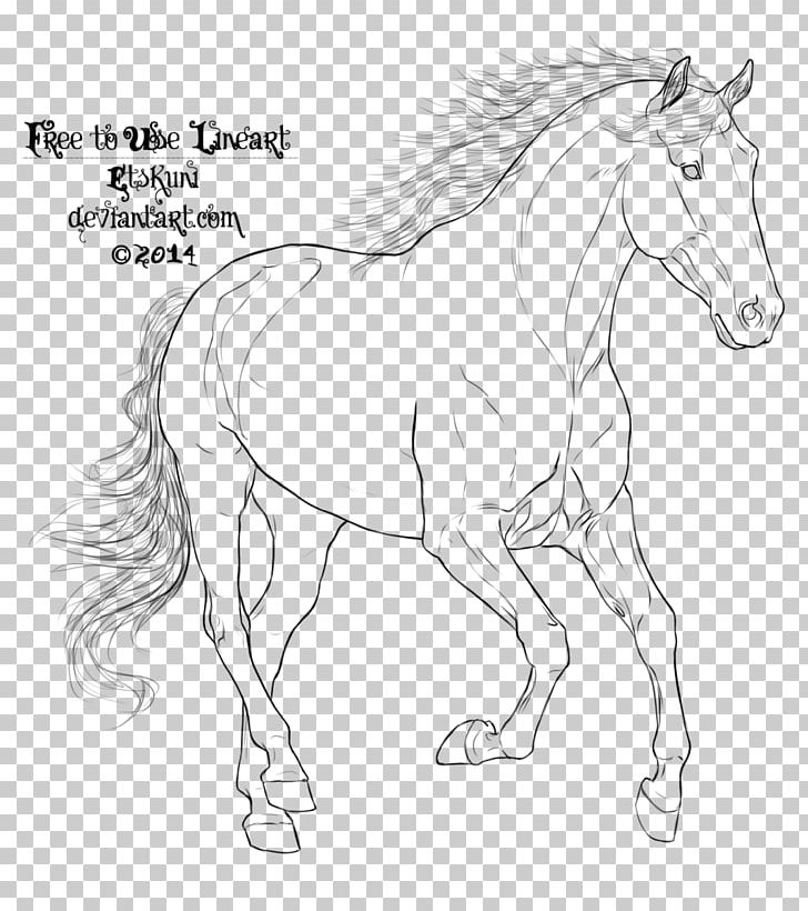 Mustang Pony Arabian Horse Andalusian Horse Mane PNG, Clipart, Animal Figure, Arabian Horse, Artwork, Black And White, Bridle Free PNG Download
