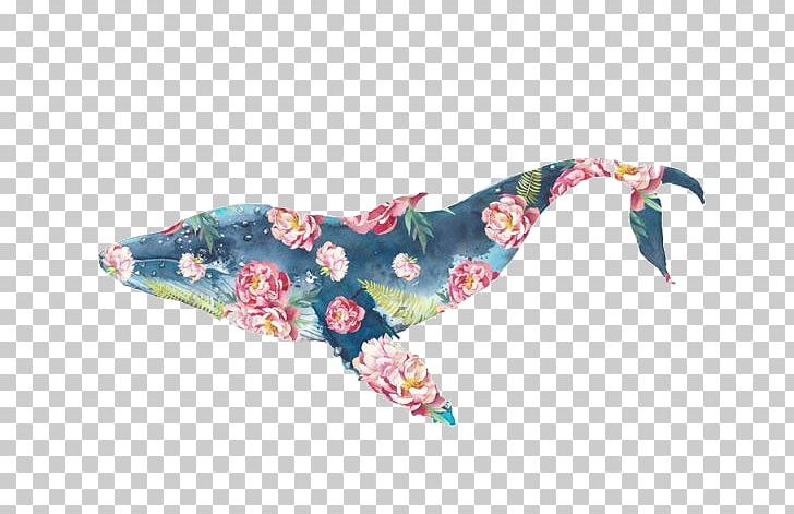 Blue Whale Drawing Killer Whale PNG, Clipart, Animal, Blue, Blue Whale, Color, Colorful Background Free PNG Download