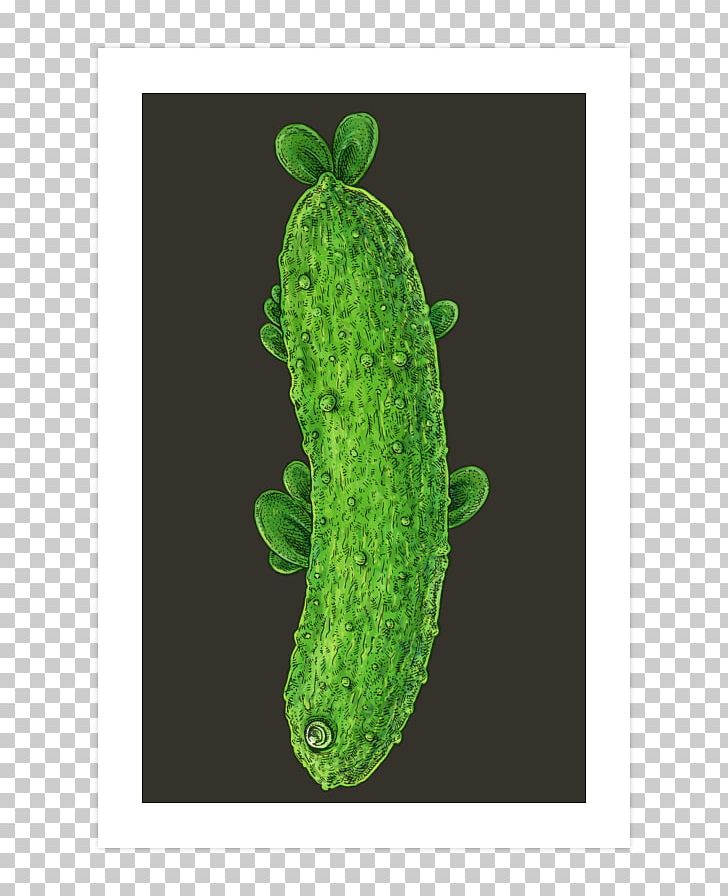 Cucumber PNG, Clipart, Art Print, Cucumber, Cucumber Gourd And Melon Family, Cucumis, Fish Free PNG Download