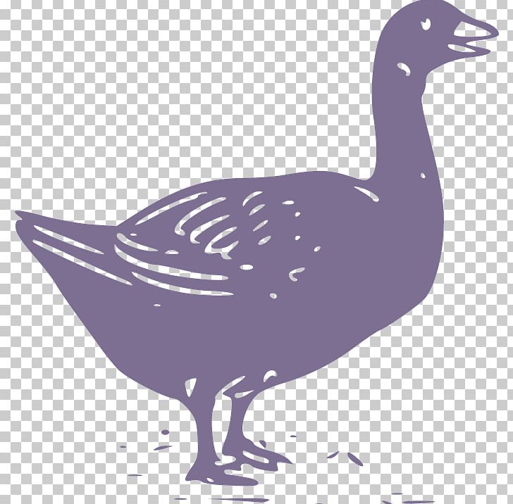 Duck Goose Chicken Illustration PNG, Clipart, Animals, Art, Beak, Bird, Birds Free PNG Download