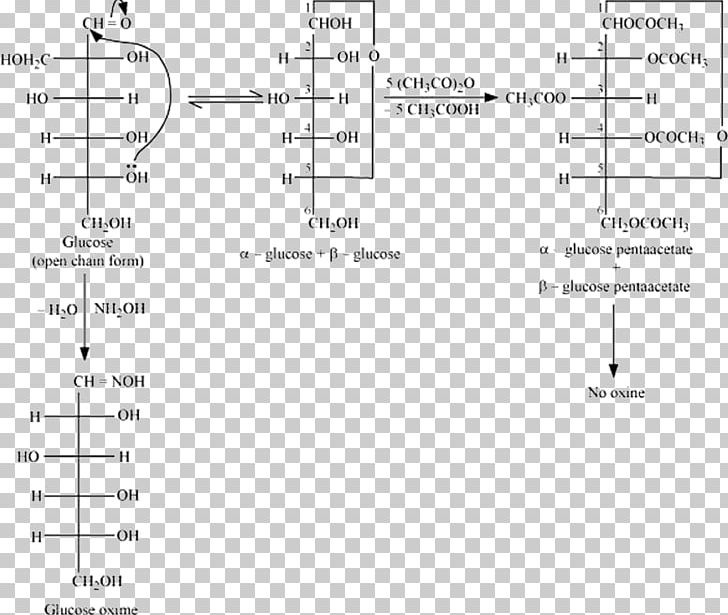 Glucose Aldehyde CBSE Exam 2018 PNG, Clipart, Angle, Area, Biomolecule, Black And White, Camphorquinone 3oxime Free PNG Download