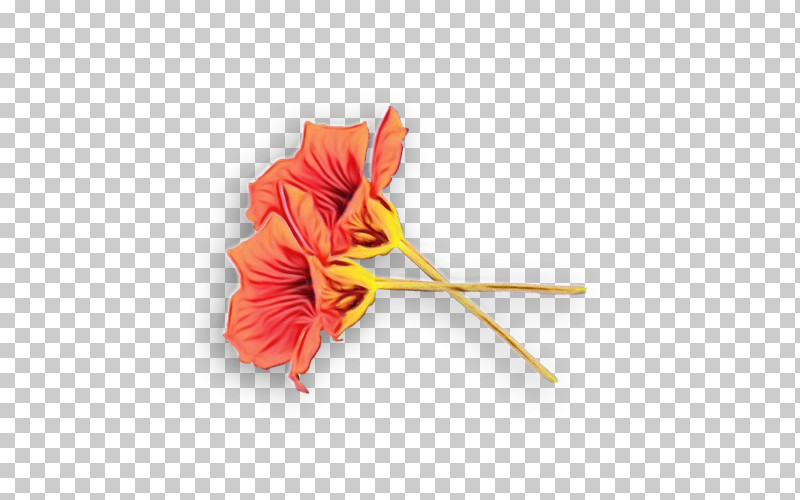 Orange PNG, Clipart, Biology, Cut Flowers, Flower, Orange, Paint Free PNG Download