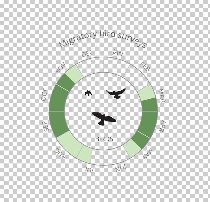 Logo Brand Circle Green PNG, Clipart, Angle, Area, Bird Migration, Brand, Circle Free PNG Download